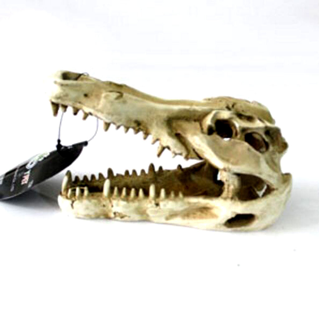 Reptile,Snake,Turtle,Vivarium Rock,Caves,Aquarium Ornament Crocodile Skull