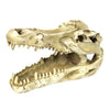 Reptile,Snake,Turtle,Vivarium Rock,Caves,Aquarium Ornament Crocodile Skull