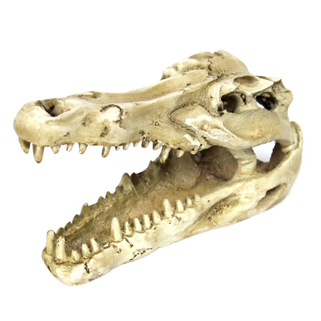 Reptile,Snake,Turtle,Vivarium Rock,Caves,Aquarium Ornament Crocodile Skull