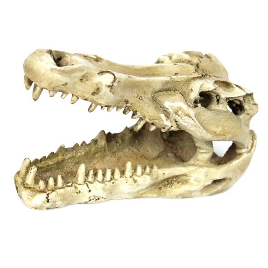 Reptile,Snake,Turtle,Vivarium Rock,Caves,Aquarium Ornament Crocodile Skull