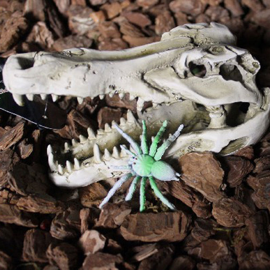 Reptile,Snake,Turtle,Vivarium Rock,Caves,Aquarium Ornament Crocodile Skull