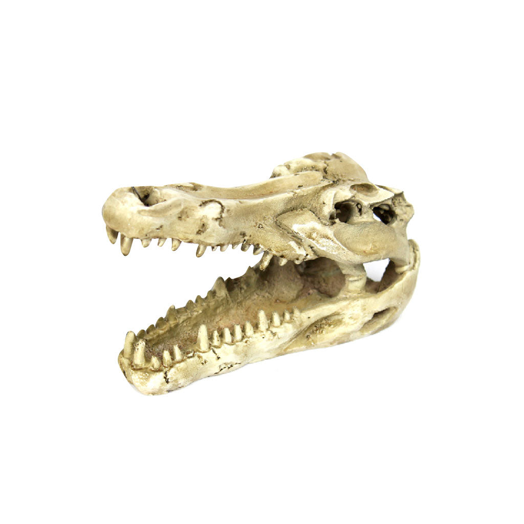 Reptile,Snake,Turtle,Vivarium Rock,Caves,Aquarium Ornament Crocodile Skull