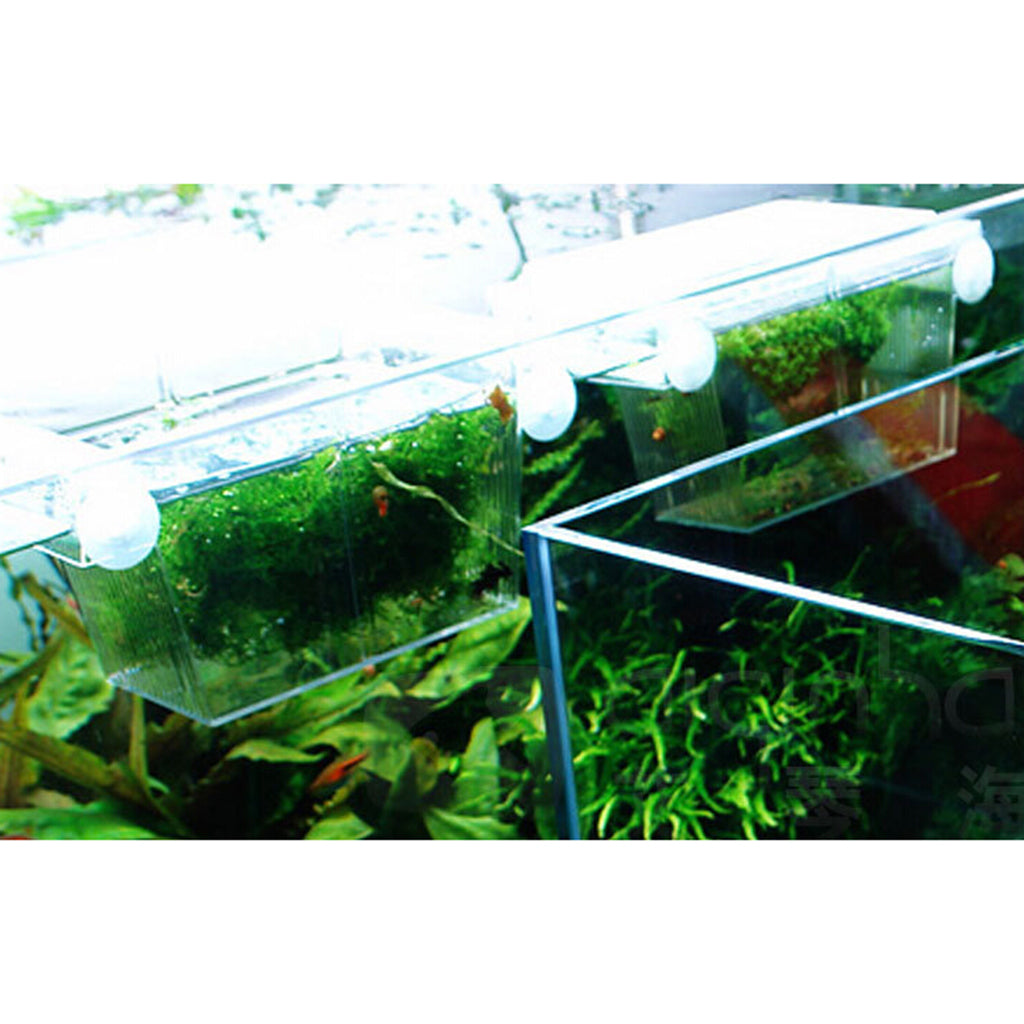 Self-floating Fish Breeder Case Breeding Box for Aquarium Fish Tank Hatchery