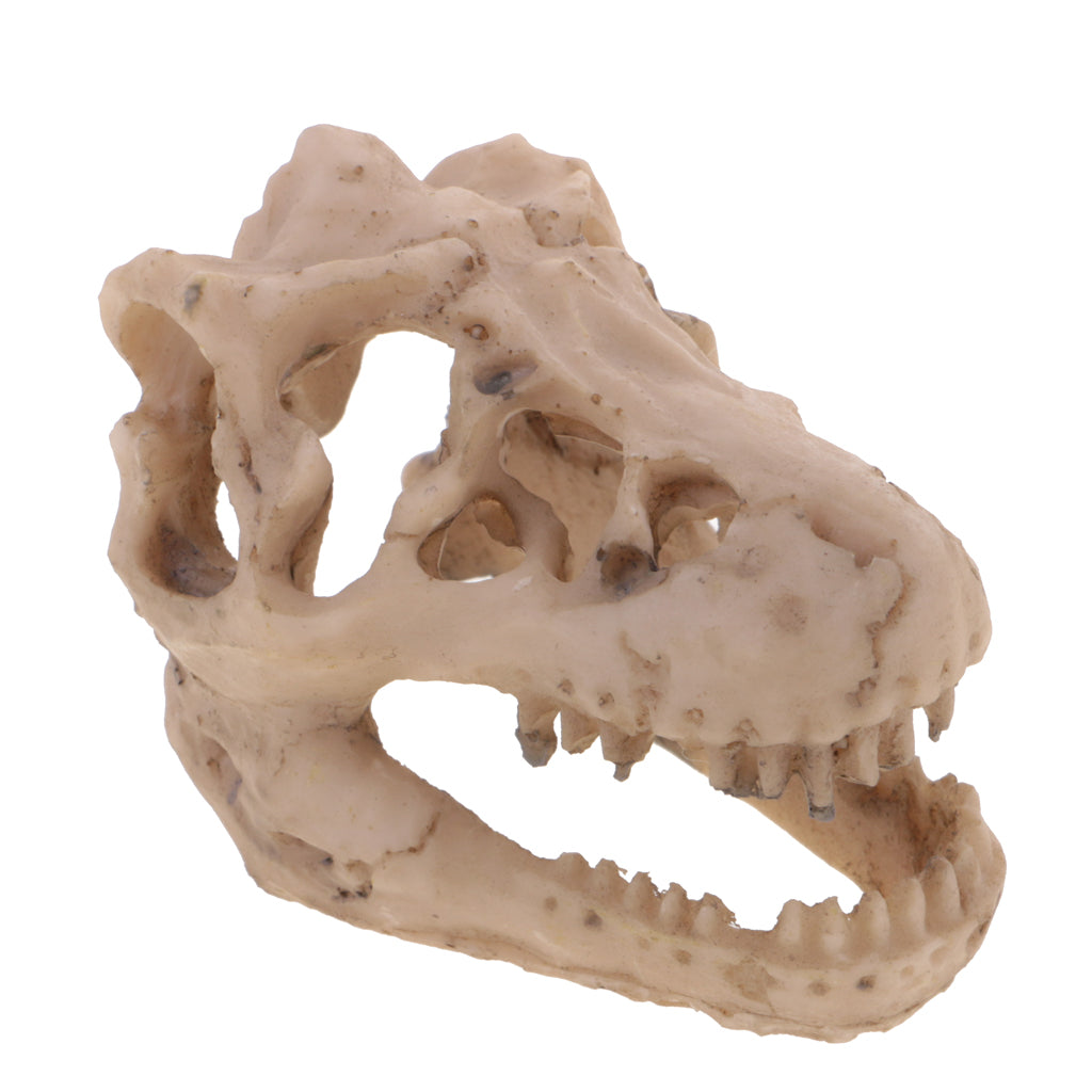 Resin Emulational Dinosaur Skull Aquarium Decoration Fish Tank Ornament NEW