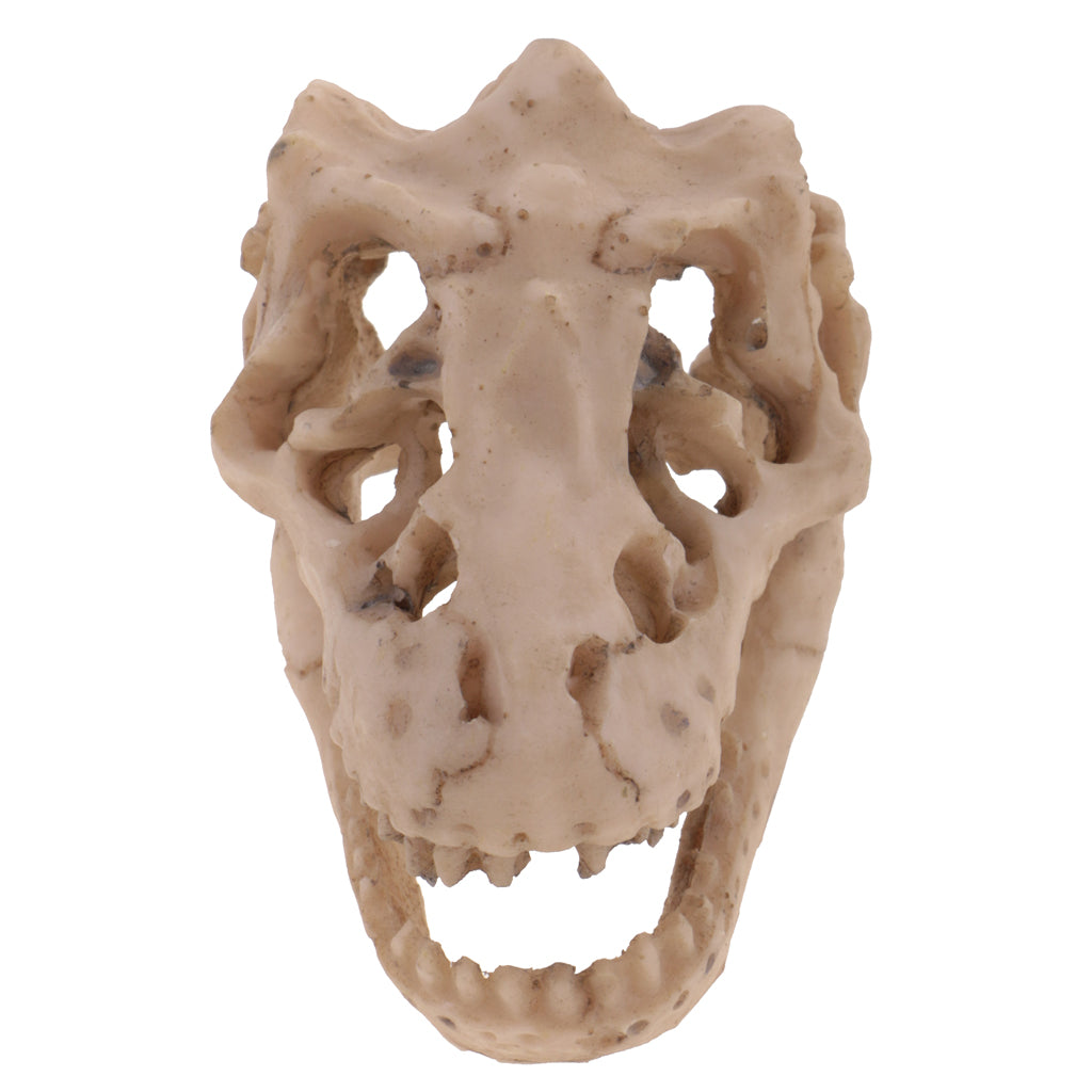 Resin Emulational Dinosaur Skull Aquarium Decoration Fish Tank Ornament NEW