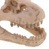 Resin Emulational Dinosaur Skull Aquarium Decoration Fish Tank Ornament NEW