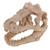 Resin Emulational Dinosaur Skull Aquarium Decoration Fish Tank Ornament NEW