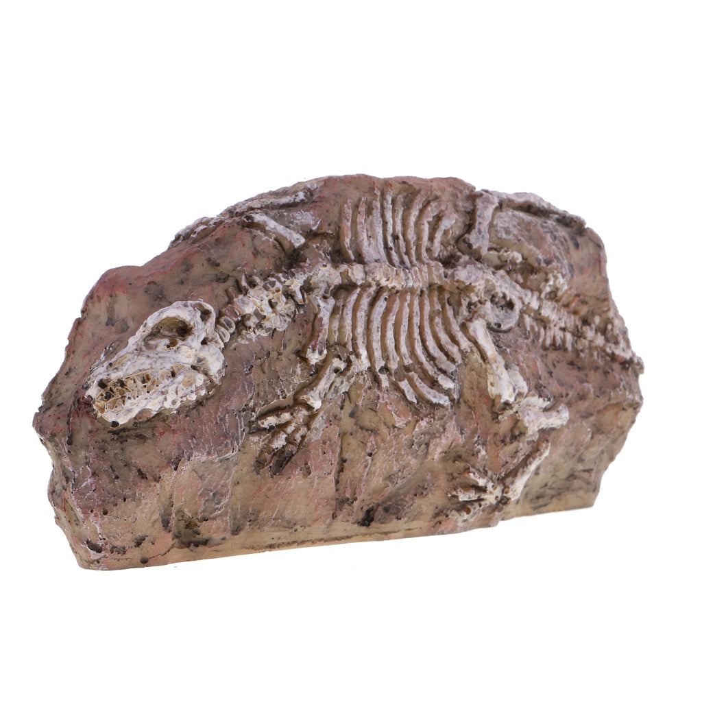 Resin Dinosaur Skeleton Stone Aquarium Decoration Fish Tank Ornament NEW