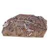 Resin Dinosaur Skeleton Stone Aquarium Decoration Fish Tank Ornament NEW