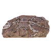 Resin Dinosaur Skeleton Stone Aquarium Decoration Fish Tank Ornament NEW