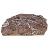 Resin Dinosaur Skeleton Stone Aquarium Decoration Fish Tank Ornament NEW