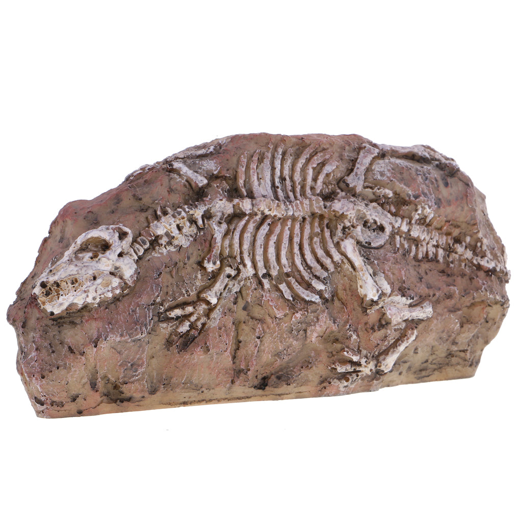 Resin Dinosaur Skeleton Stone Aquarium Decoration Fish Tank Ornament NEW