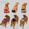 Pet Female Dog Under Clothing Supplies Soft Moisture Breathable Ribbing Classic Physical Pant Sanitary Underwear Rose Red L