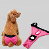 Pet Female Dog Under Clothing Supplies Soft Moisture Breathable Ribbing Classic Physical Pant Sanitary Underwear Rose Red L