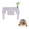 Reptile Chill Out Platform, Basking & Climbing Platform - Turtle Terrapin - Coconut tree