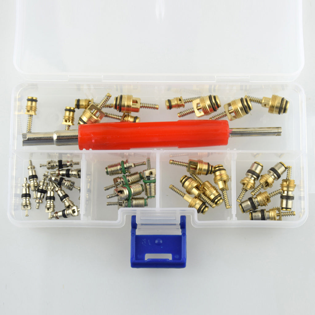 36 Pieces Assortment A/C Shrader Valve Core Tool R134 R12 AC Valves HVAC kit