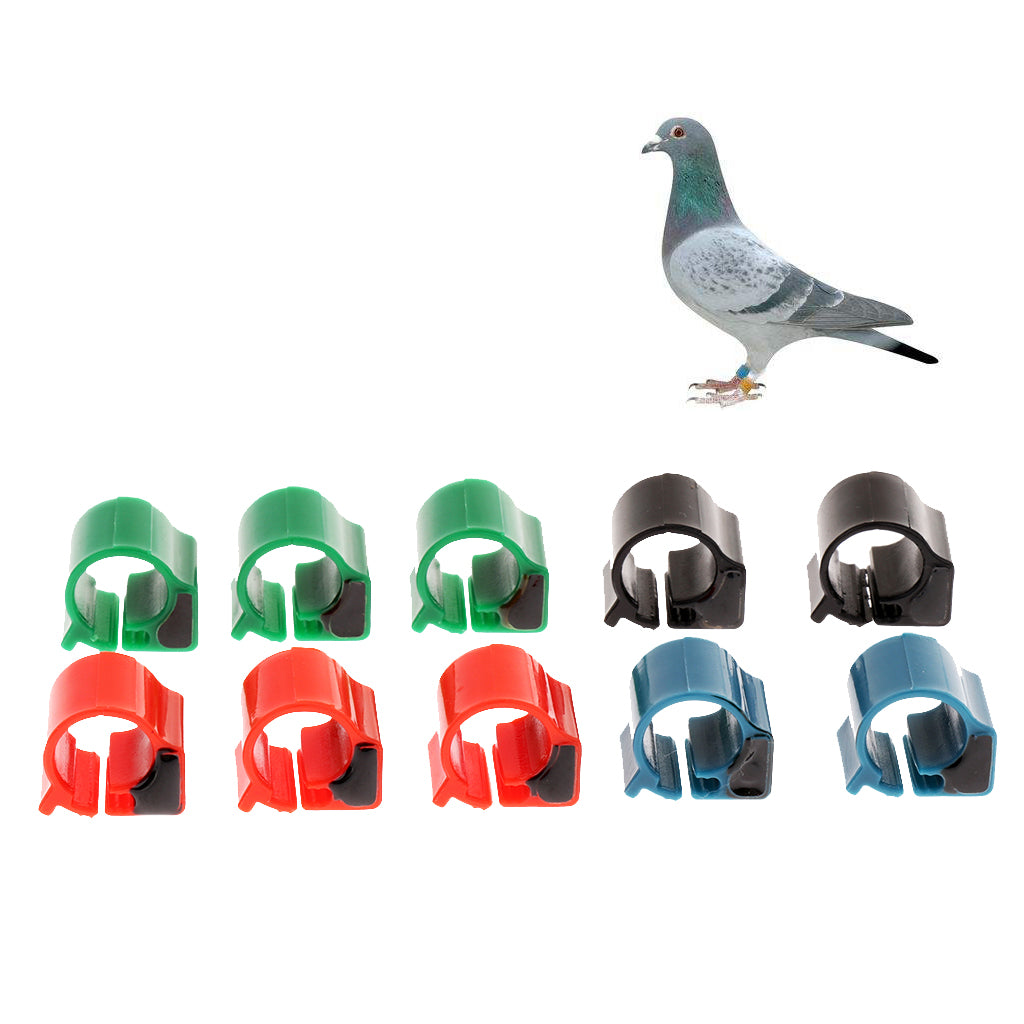 10x Pigeon Rings Bird Chip Rings Identification Race Pigeons Colorful Ring