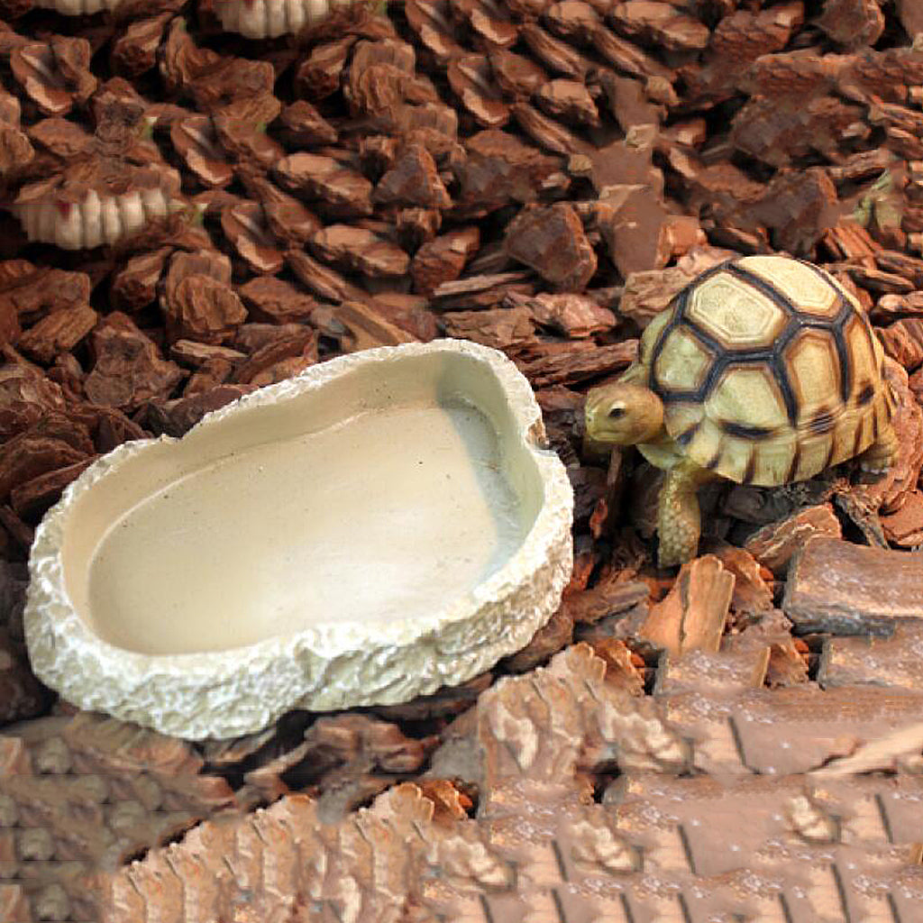 Reptile Feeding Bowl Food Water Resin Dish Pet Vivarium Tortoise Gecko #6