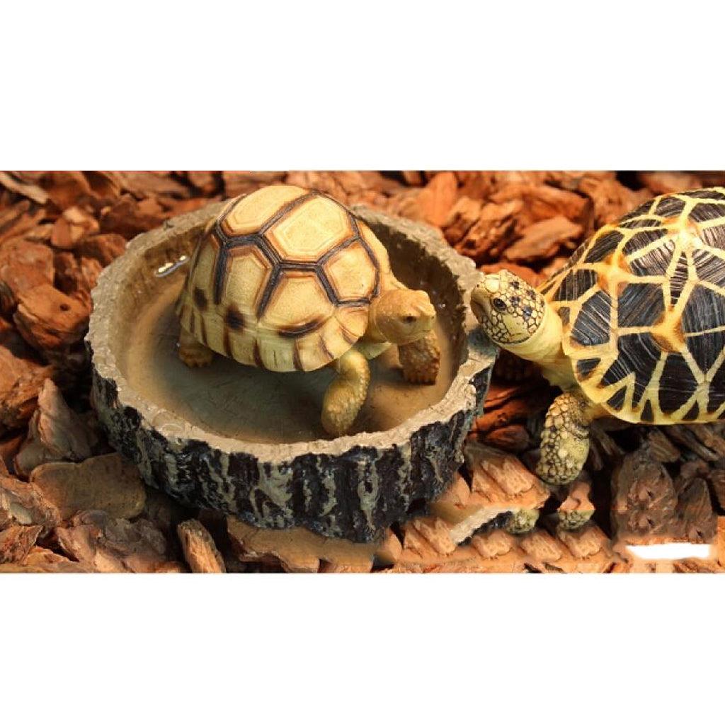 Reptile Feeding Bowl Food Water Resin Dish Pet Vivarium Tortoise Gecko #11