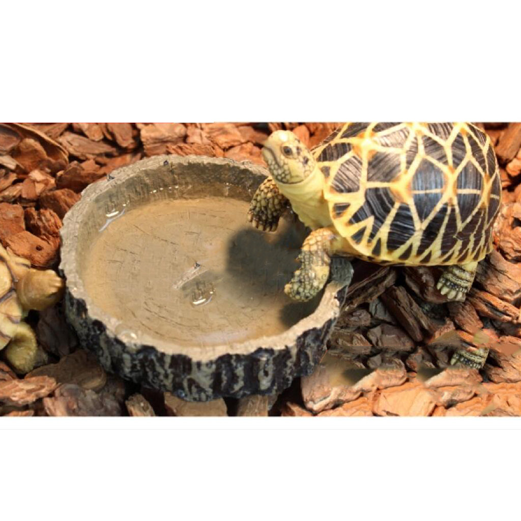 Reptile Feeding Bowl Food Water Resin Dish Pet Vivarium Tortoise Gecko #11