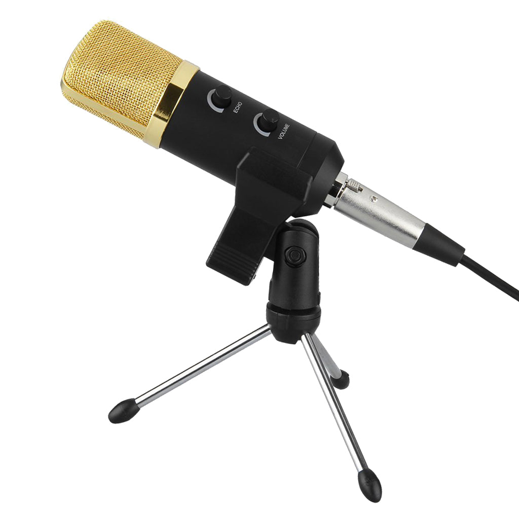 Condenser Sound Studio Recording Microphone Dynamic Mic With Stand Holder