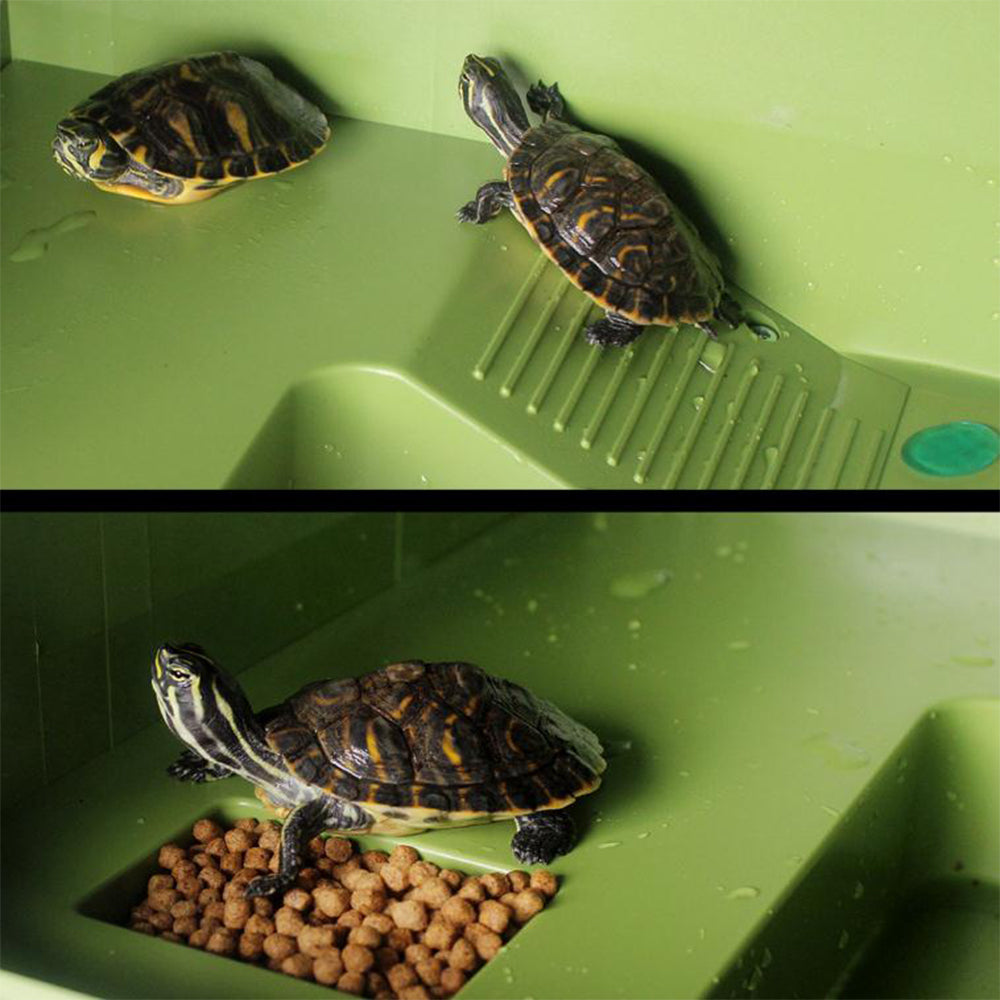 Reptile Floating Basking Platform Turtle Corner Ramp Reptile Supplies Green