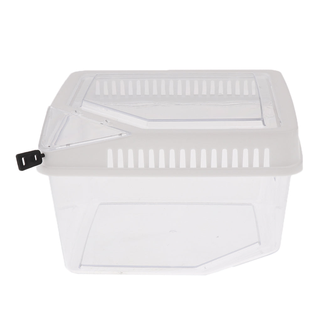 Reptile Lizard Spider Beetle Scorpion Vivarium Terrarium Rearing Box White