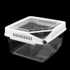 Reptile Lizard Spider Beetle Scorpion Vivarium Terrarium Rearing Box White