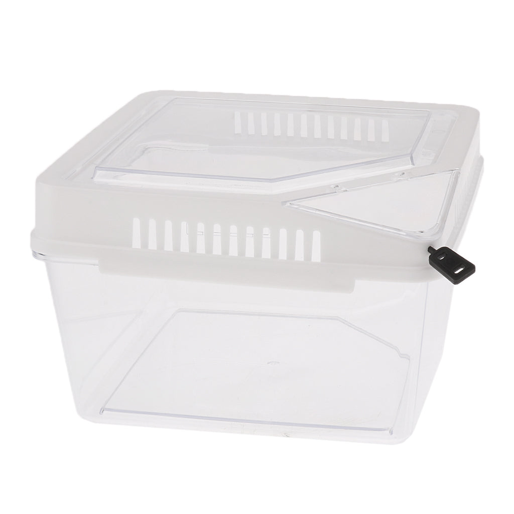 Reptile Lizard Spider Beetle Scorpion Vivarium Terrarium Rearing Box White