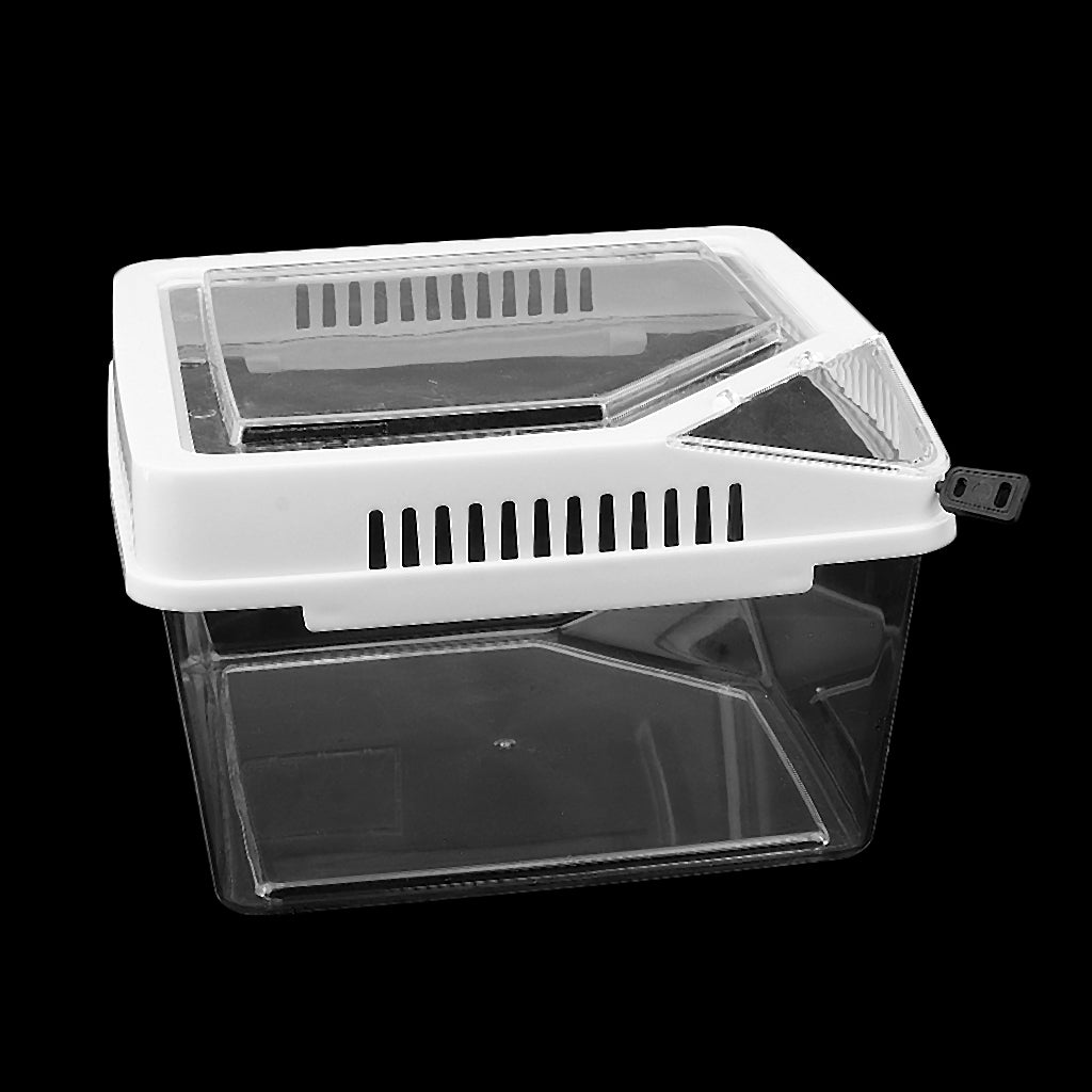 Reptile Lizard Spider Beetle Scorpion Vivarium Terrarium Rearing Box White