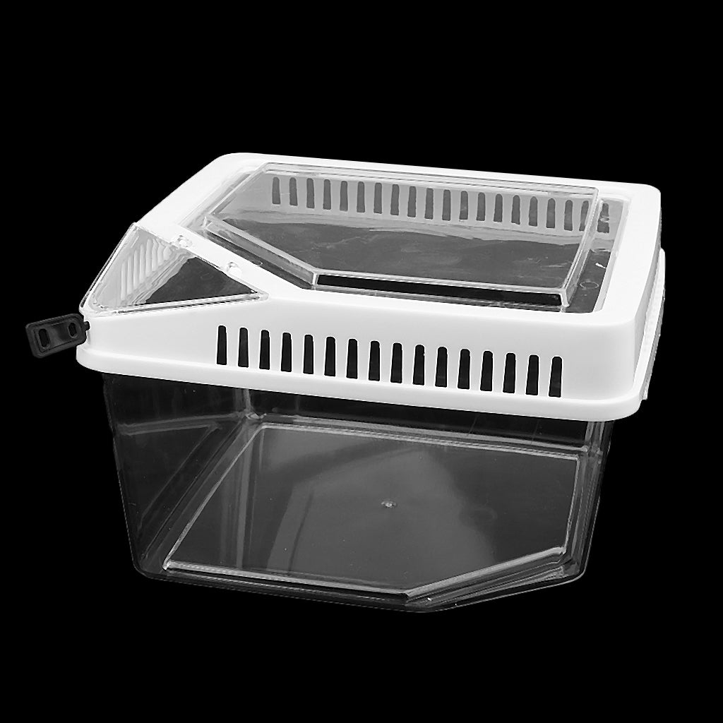 Reptile Lizard Spider Beetle Scorpion Vivarium Terrarium Rearing Box White