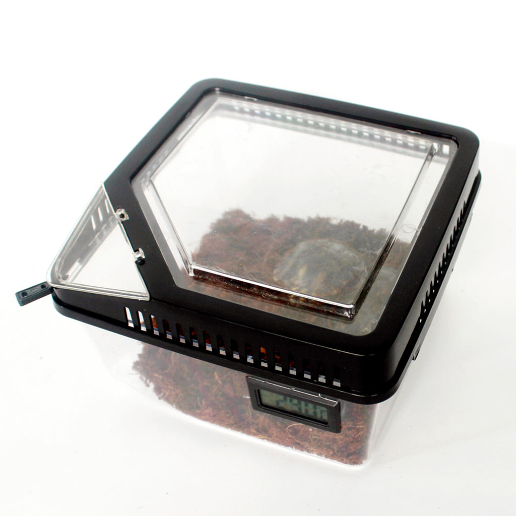 Reptile Lizard Spider Beetle Scorpion Vivarium Terrarium Rearing Box Black