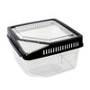 Reptile Lizard Spider Beetle Scorpion Vivarium Terrarium Rearing Box Black