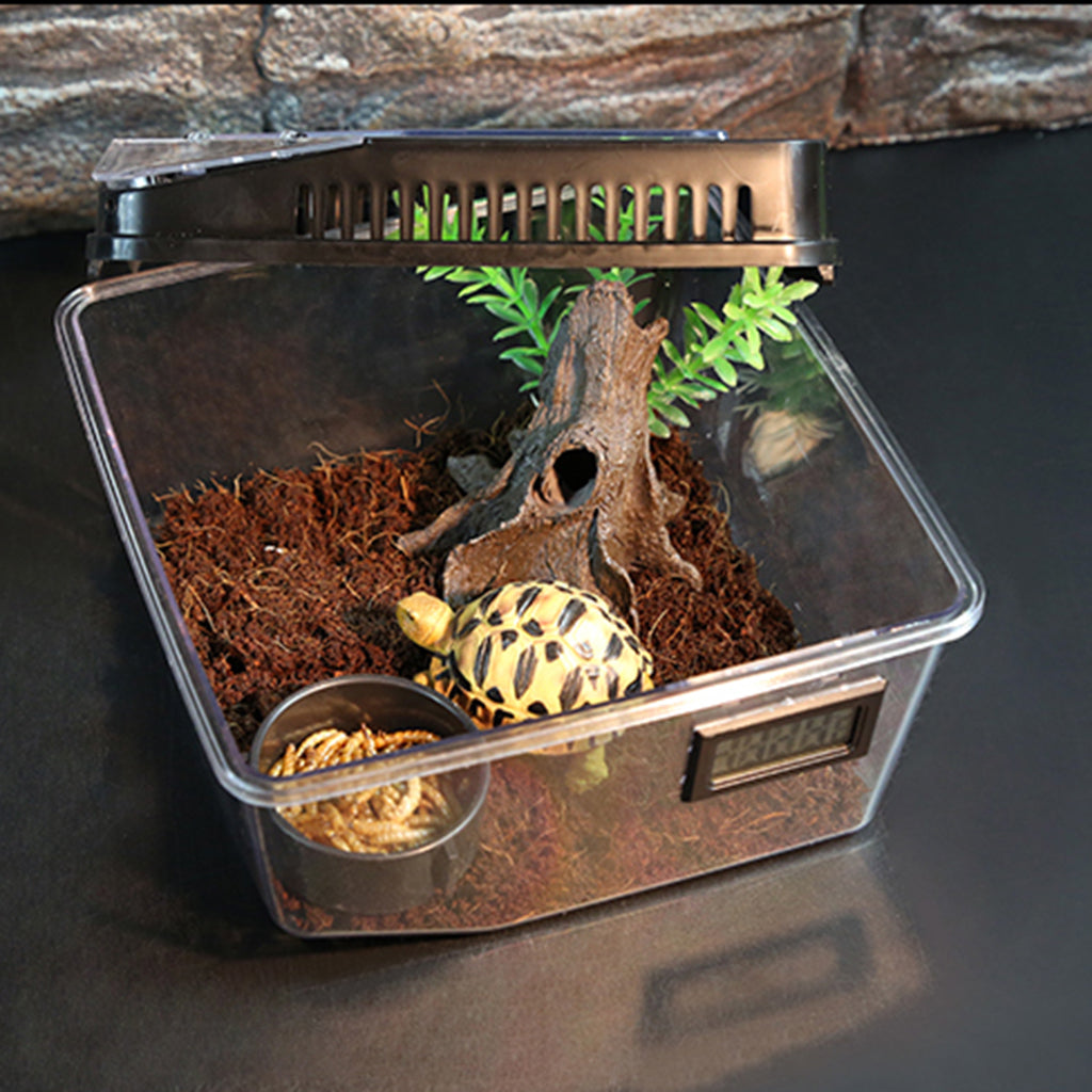 Reptile Lizard Spider Beetle Scorpion Vivarium Terrarium Rearing Box Black