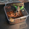 Reptile Lizard Spider Beetle Scorpion Vivarium Terrarium Rearing Box Black