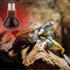 Reptile Tortoise Amphibian Nightlight Infrared Light E27 Base Heat Lamp 75W