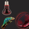 Reptile Tortoise Amphibian Nightlight Infrared Light E27 Base Heat Lamp 75W