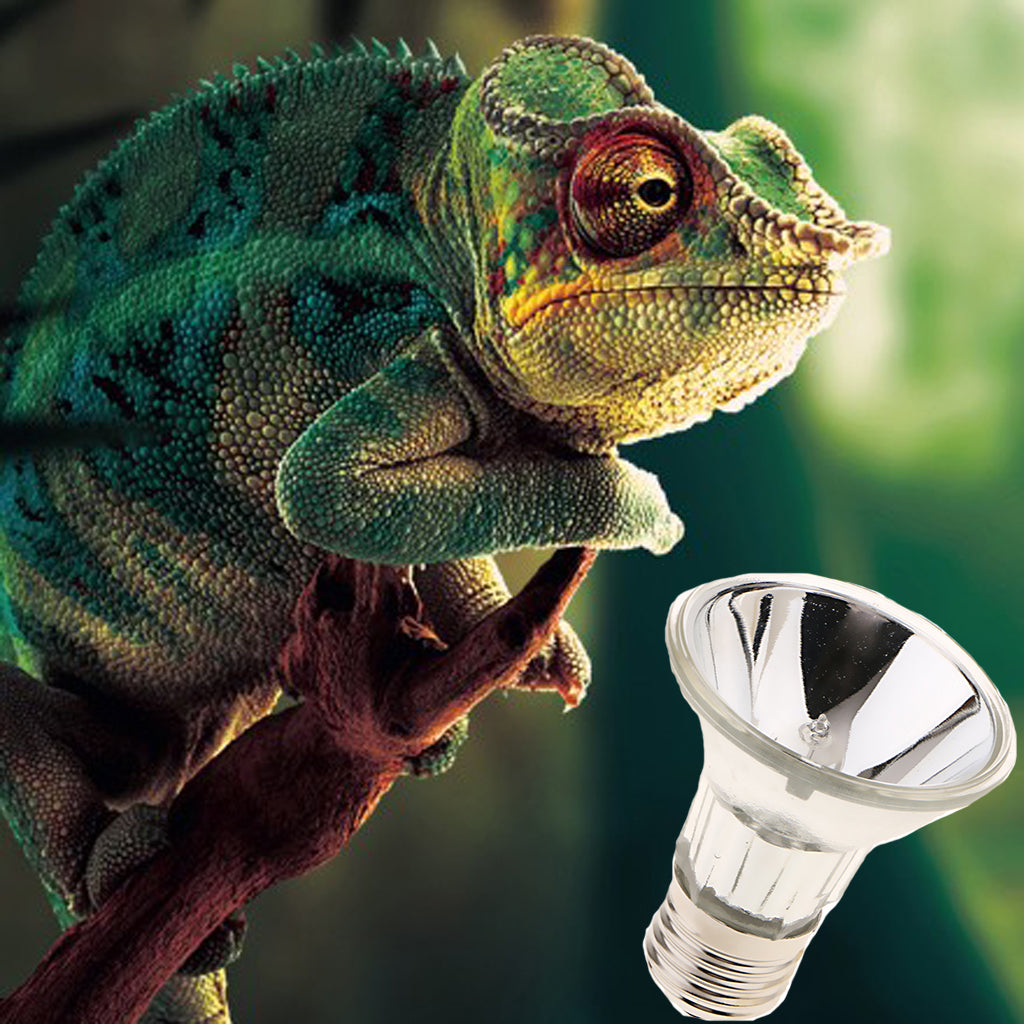 E27 220V Reptile Halogen Spotlight Full Spectrum UVA UVB Heating Light 25W