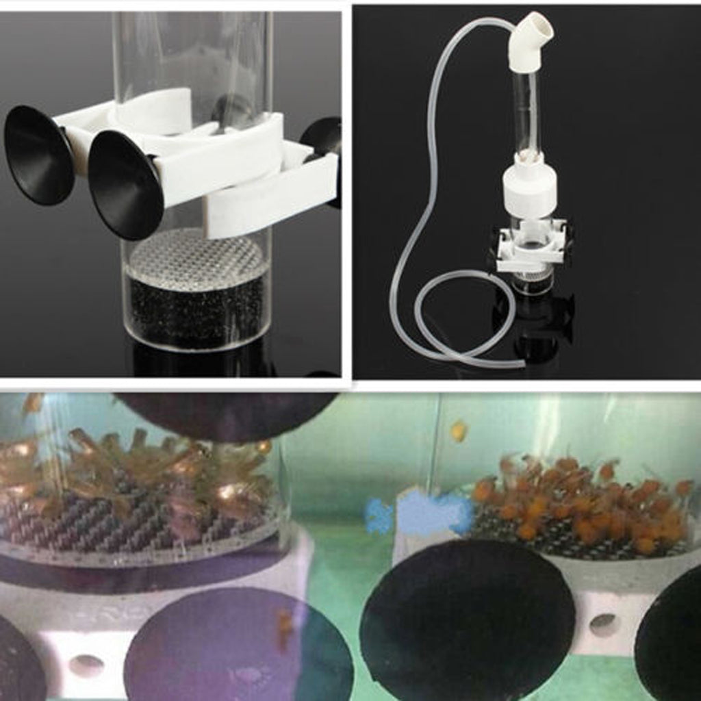 Clear Aquarium Cichlids Tumbler Fish Hatchery Incubator-L