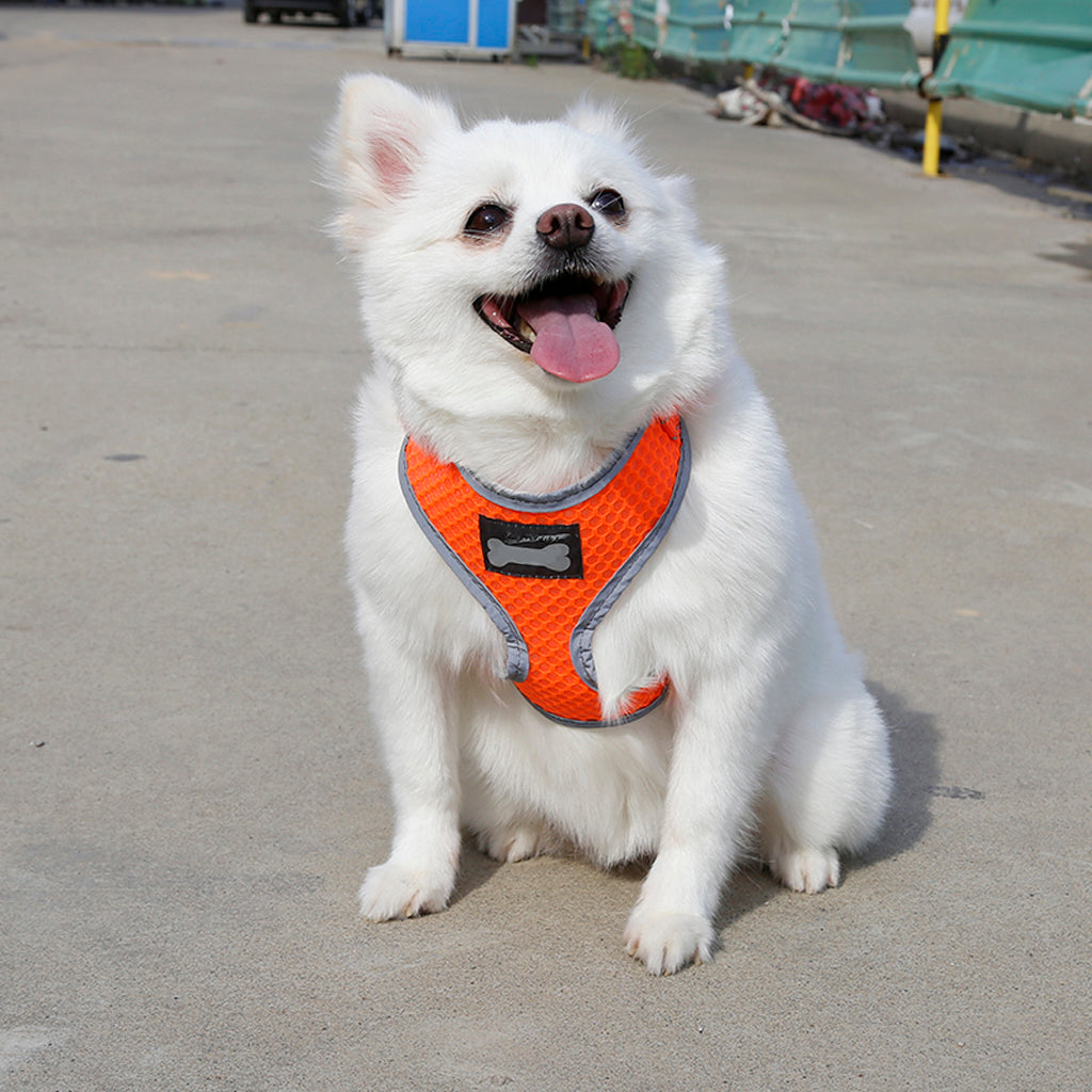 Breathable Mesh Pet Puppy Dog Walking Collar Chest Strap Harness Orange S