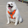 Breathable Mesh Pet Puppy Dog Walking Collar Chest Strap Harness Orange S