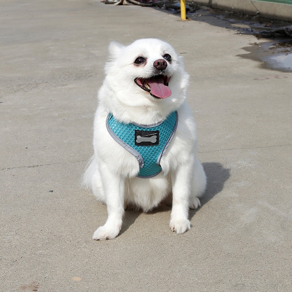 Breathable Mesh Pet Dog Walking Collar Chest Strap Harness Turquoise XL