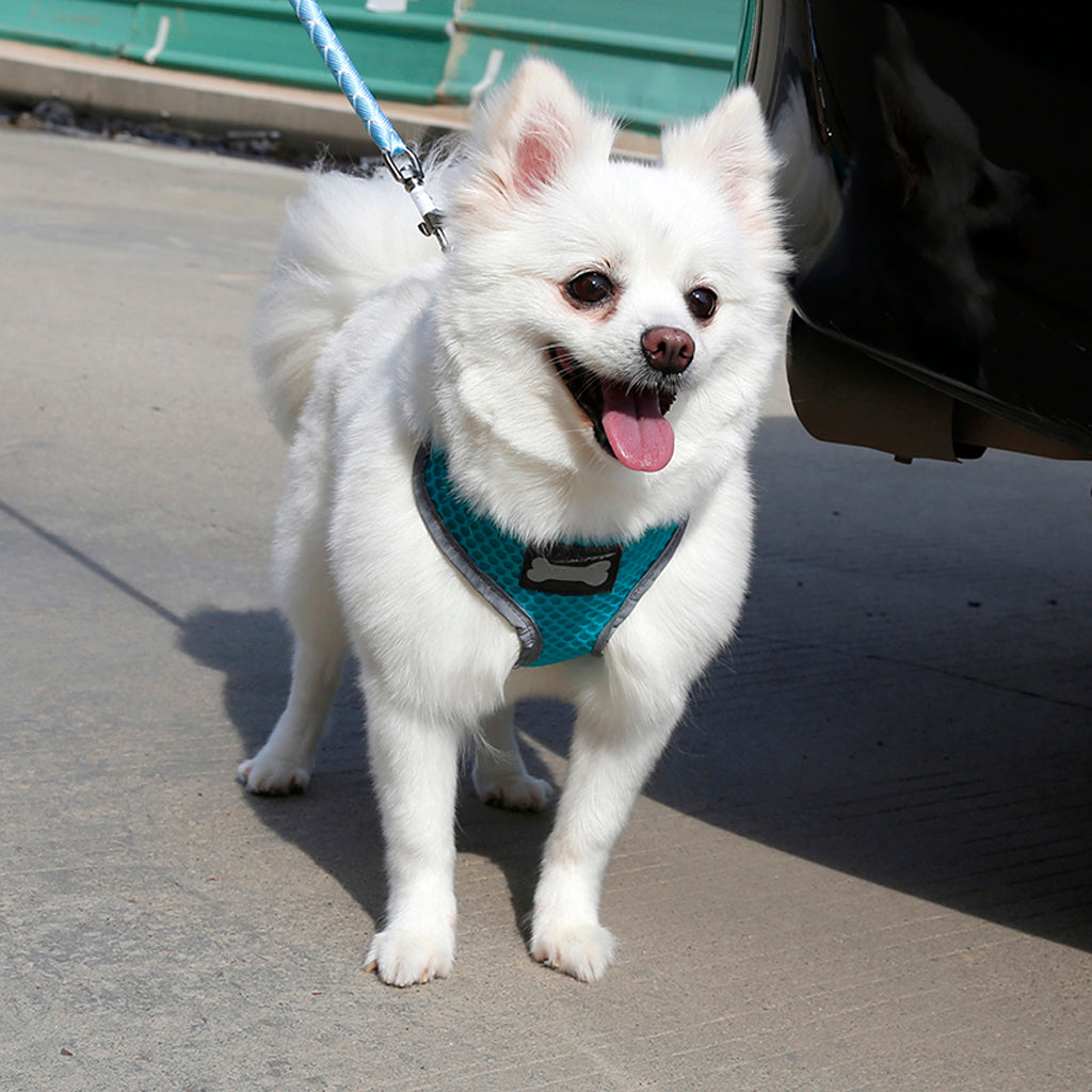 Breathable Mesh Pet Dog Walking Collar Chest Strap Harness Turquoise XL