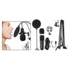 Professional Recording Condenser Microphone Kit Computer Cardioid Mic Arm