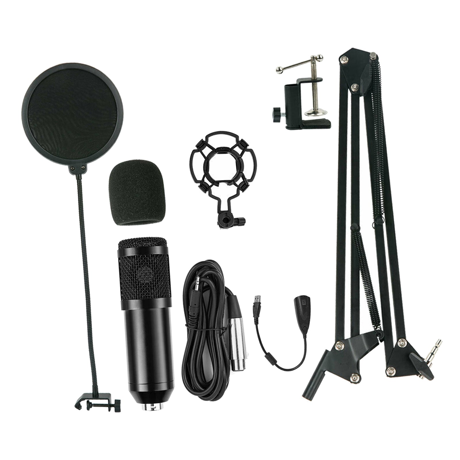 Professional Recording Condenser Microphone Kit Computer Cardioid Mic Arm