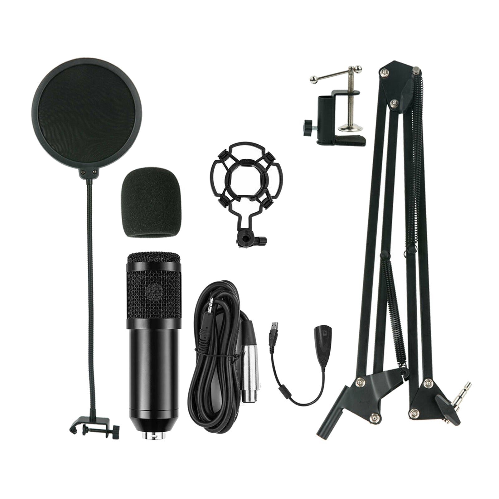 Professional Recording Condenser Microphone Kit Computer Cardioid Mic Arm