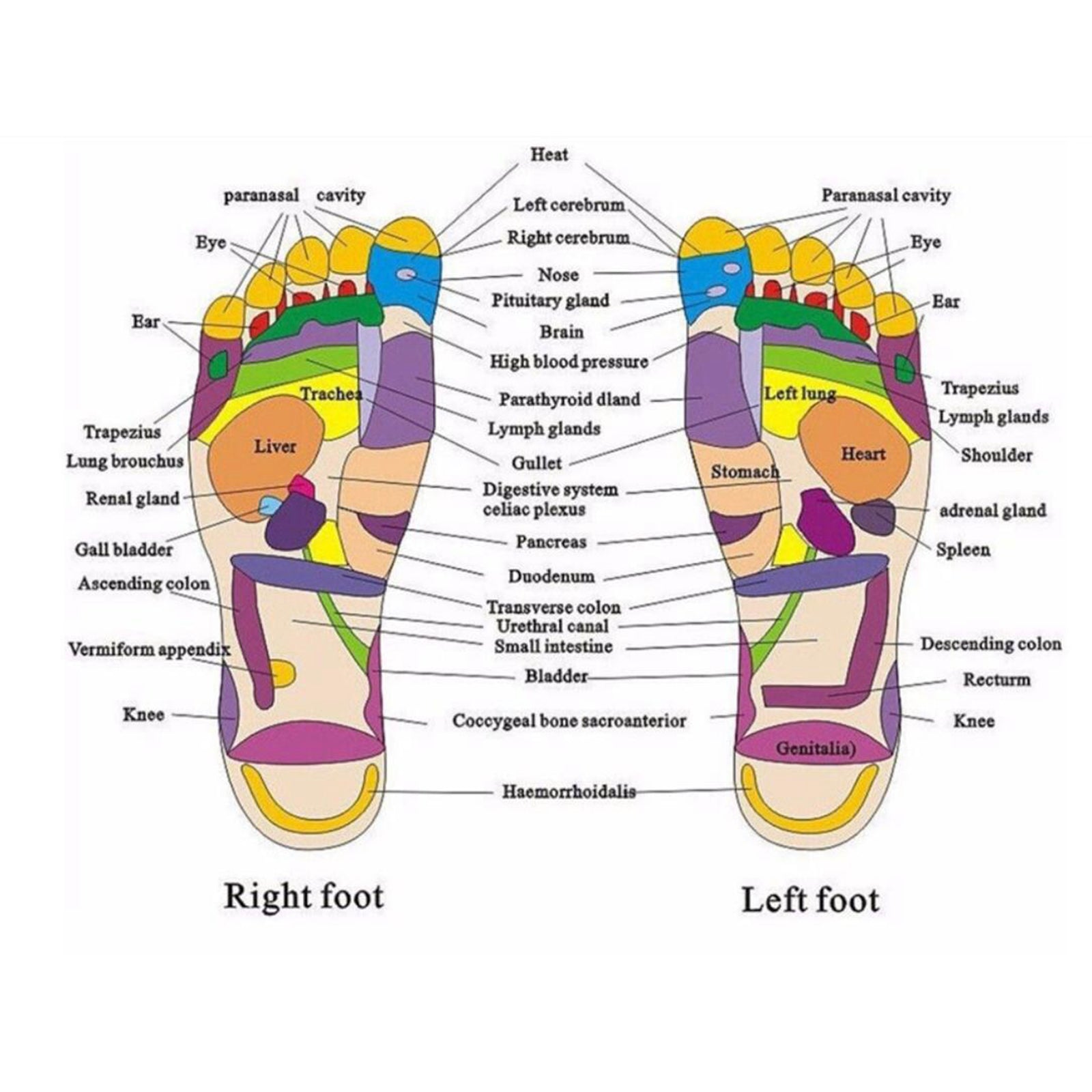 1 Pair Foot Massage Slipper Acupressure Foot Acupuncture Shoes Red 43-44