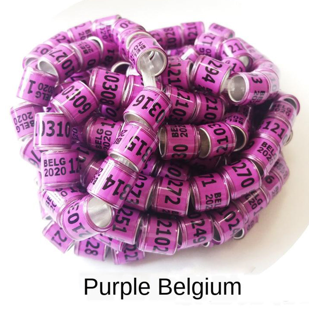 100pcs Pigeon Leg Clip Dove Parrot Foot Ring Band 8mm Purple Belgium