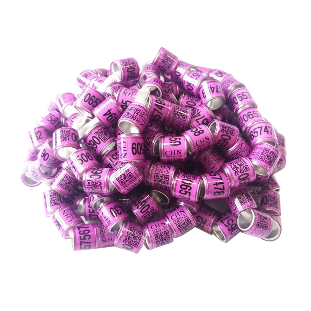 100Pcs Aluminium Bird Dove Pigeons Foot Rings Bands 8mm Purple