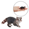 Lifelike Jungle Animal Raccoon Figures Model Kids Toddlers Toys Party Favors Walking